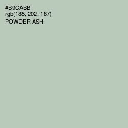 #B9CABB - Clay Ash Color Image